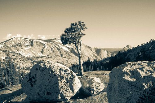 Olmsted Point in Yosemite National Park - analogue b/w photography by Werner Dieterich