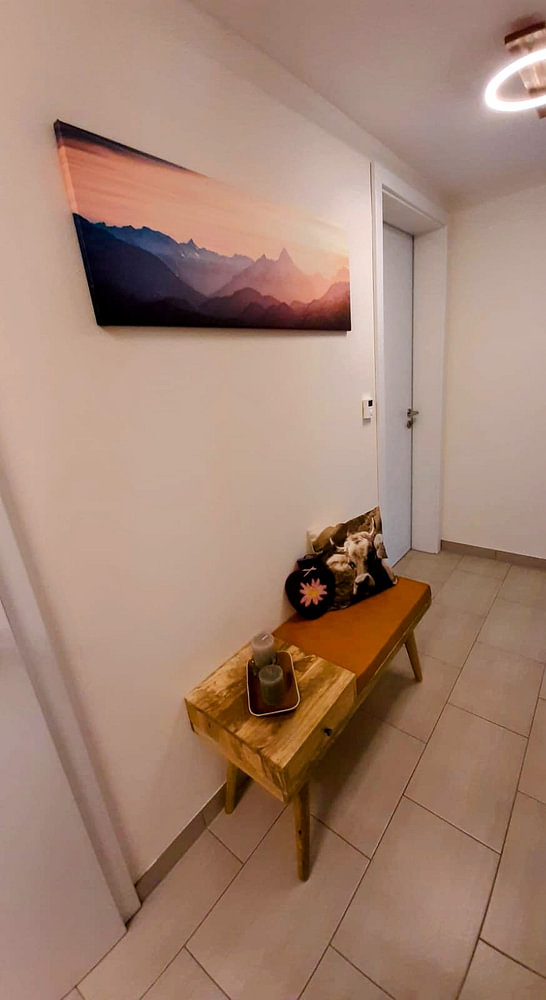 Alps Panorama