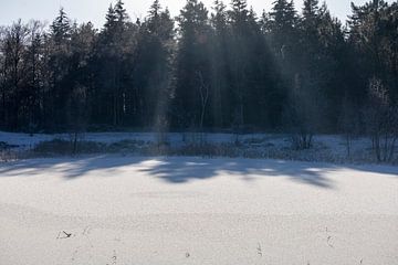 Sneeuw in Noord-Brabant van Jolanda Hugens Kommers