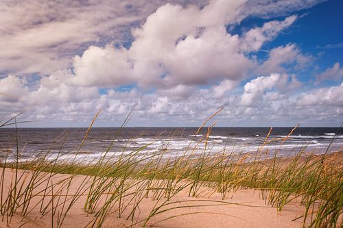 Strand Paal 17 No. 02