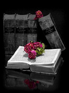 Livres avec des roses