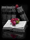 Boeken met rozen van Andreas Müller thumbnail