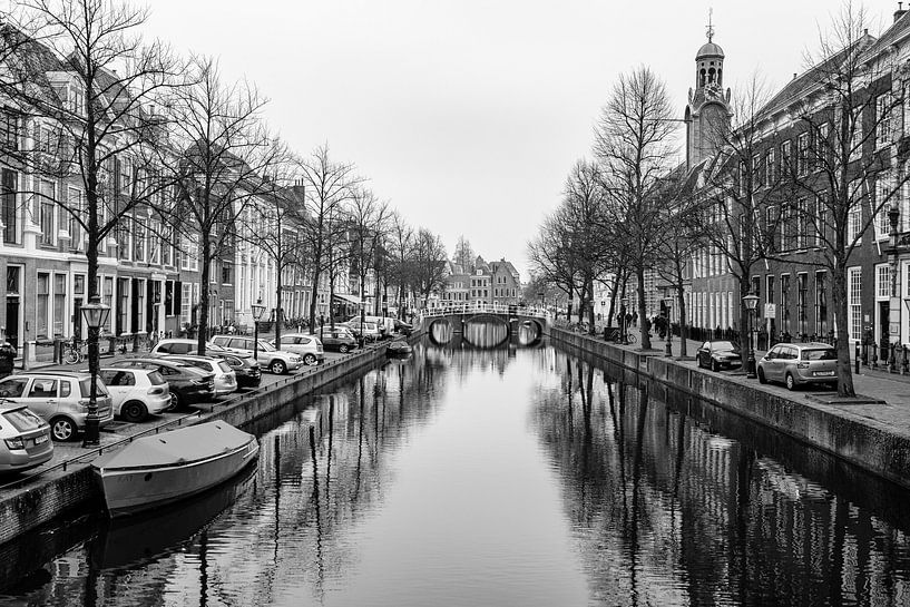 Stadgezicht Leiden van Henk Verheyen