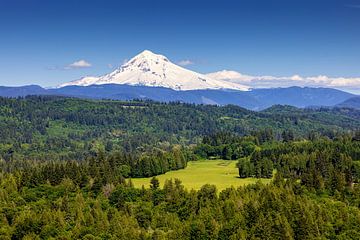 Kijkend naar Mt Hood in Oregon van Adelheid Smitt