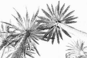 Des palmiers. Art numérique. sur Alie Ekkelenkamp