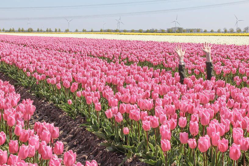 Buried under the tulips by Map of Joy