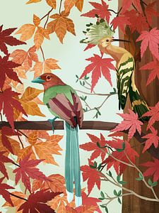 Les oiseaux d'automne sur Goed Blauw
