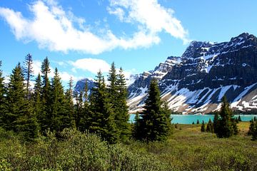 Ongerepte natuur in Canada - Jasper National Park van Thomas Zacharias
