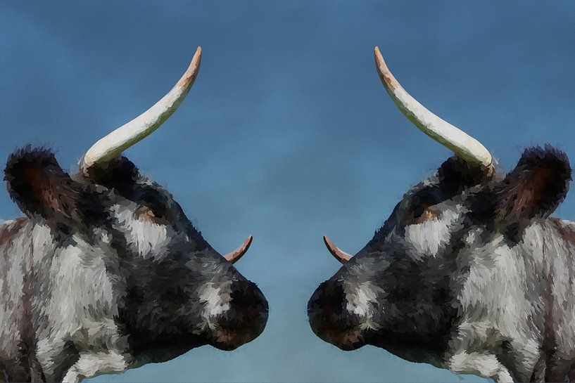 Longhorn 2 van Beeldwerk, fotografie Dorit Habing