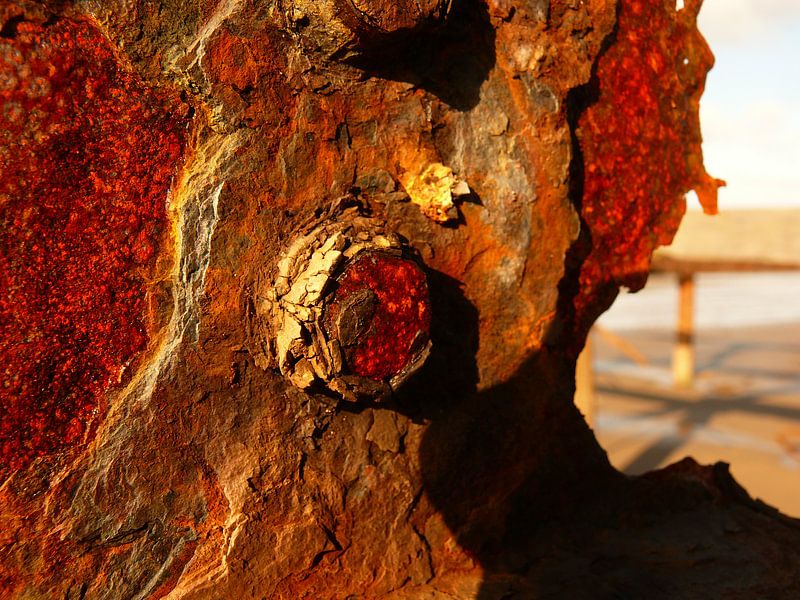 nature art van erik boer