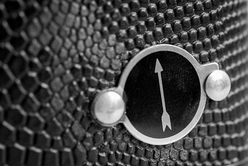 Camera Details - This Way Up