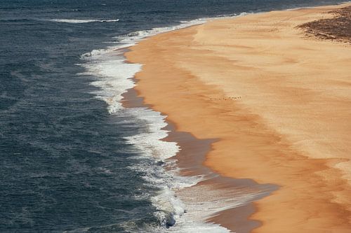 Au bord de la mer