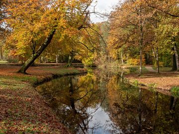 Vijver met bomen in de herfst met prachtige kleuren van Robin Jongerden