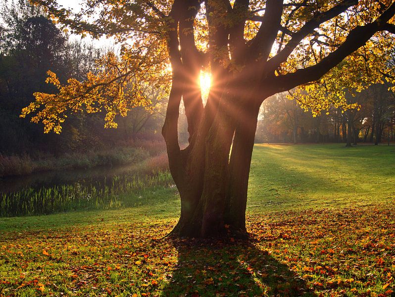 Park 14 van Edgar Schermaul