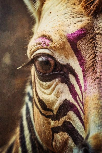 Country and Retro Collage: Rustic Zebra Portrait in Warm Palette