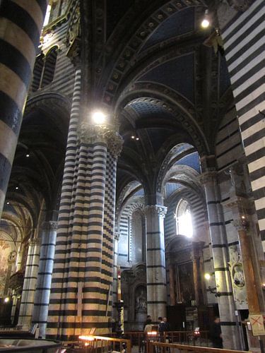 De Dom in Sienna 