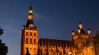 Sint Janskathedraal by night, Den Bosch, Nederland