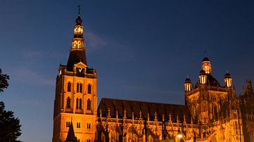 Sint Janskathedraal by night, Den Bosch, Nederland van themovingcloudsphotography