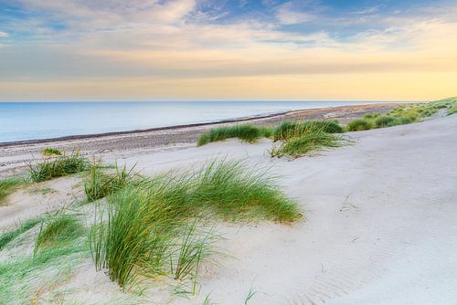 Baltic Sea dunes at sunrise