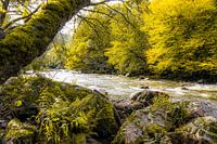 Herfstsfeer aan de rivier Emblève in de Ardennen
