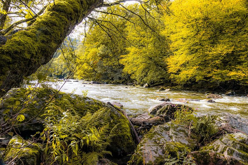 Herbststimmung am Fluss Emblève in den Ardennen von Peschen Photography