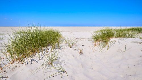 The endless beach of Schiermonnikoog