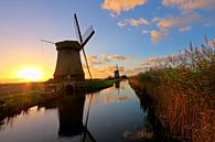 Traditionele molens op het platteland van Nederland bij zonsondergang von Eye on You Miniaturansicht