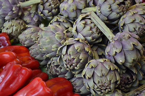 Artisjokken met paprika