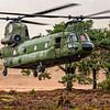 Chinook helikopter in Oirschotse heide van Aron van Oort