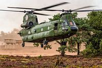 Chinook helikopter in Oirschotse heide