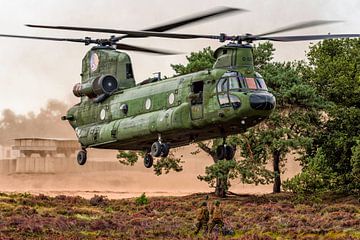 Hélicoptère Chinook dans la bruyère d'Oirschotse sur Aron van Oort