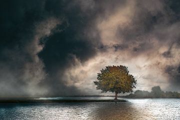 Eenzame boom van Gerard Wielenga