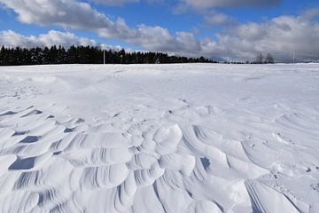 Die Wirkung von Wind auf Schnee von Claude Laprise