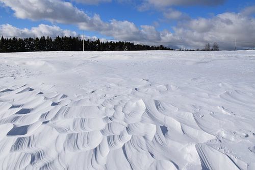 L'effet du vent sur la neige