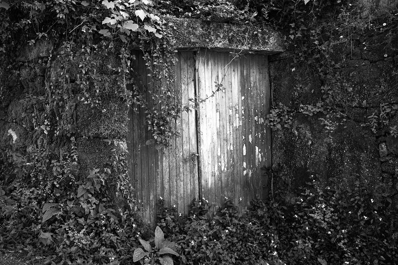 The closed door. by Jan Katuin