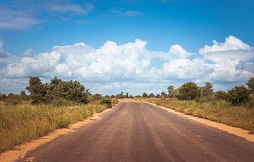 road in the kruger national park in south africa