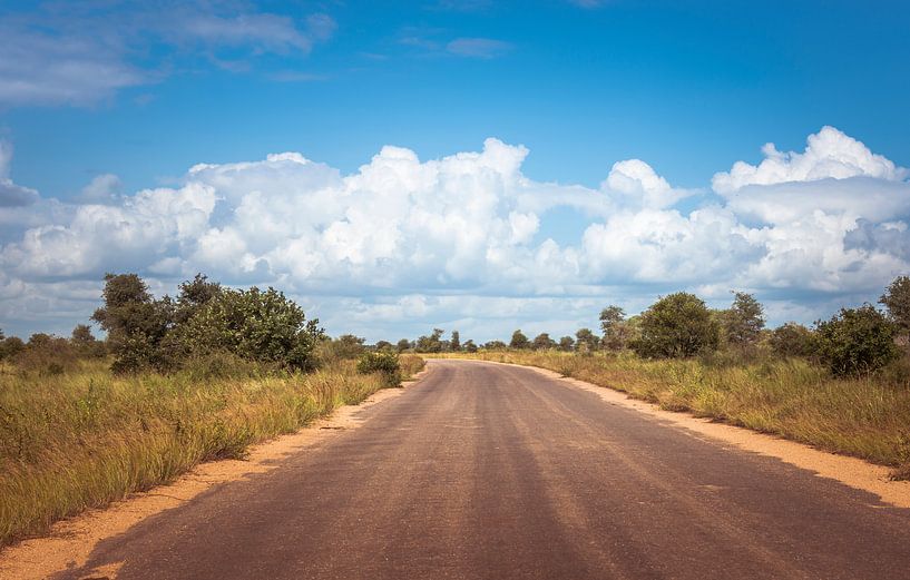 road in the kruger national park in south africa van ChrisWillemsen