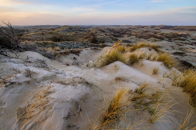 Duinenpracht van Dirk van Egmond