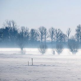 La neige, le vent et les arbres sur Jan Kooreman