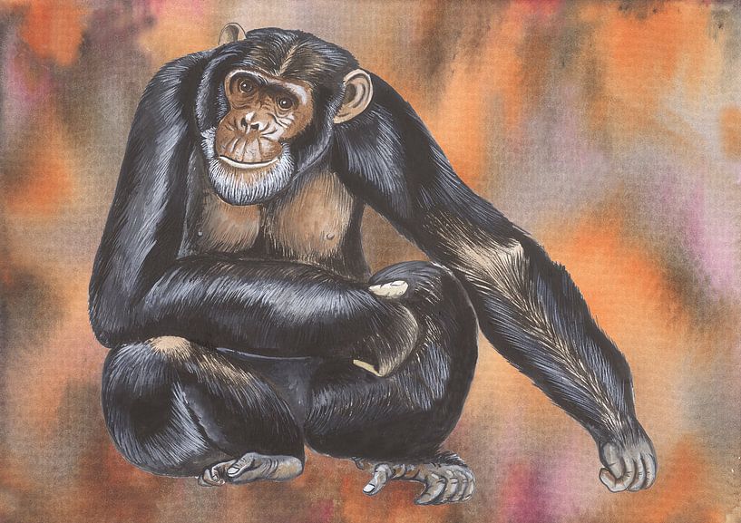 Chimpanzé par Jasper de Ruiter