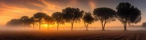 Sonnenaufgangszauber in Toskana
