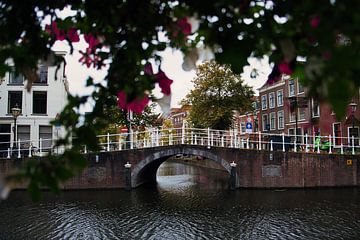 Mooie Nederlandse brug in Leiden van Dario En Holanda