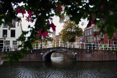 Beautiful Dutch bridge