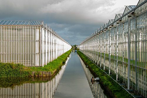 Kassen in het Westland
