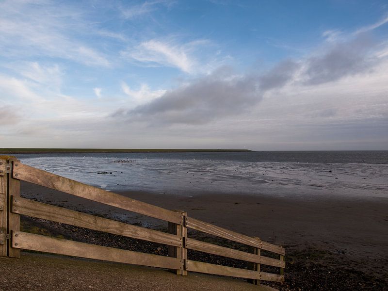 Hek op Waddendijk von Rinke Velds