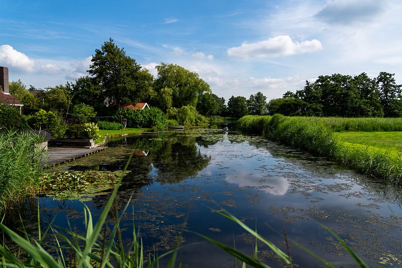 Zomerse Sloot bij IJlst – Rust en Groen in Friesland van Franklin Driessen