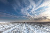 L'hiver à Noordpolderzijl par Ron Buist Aperçu