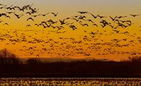 Morning departure