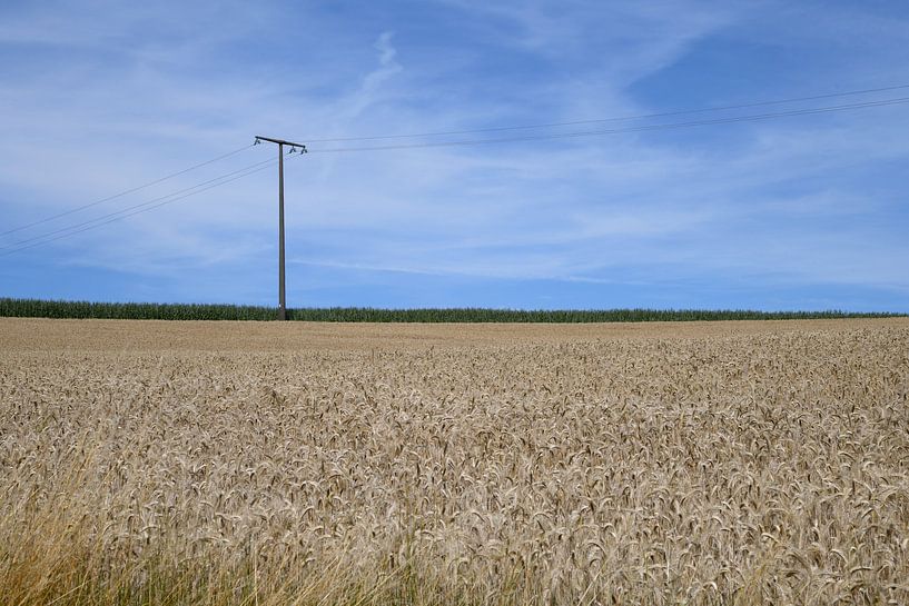 Grain field in Luxembourg by Studio Retouched fotoshop