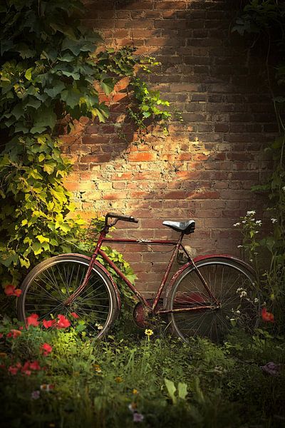 Vintage bicycle and brick wall by Imperial Art House